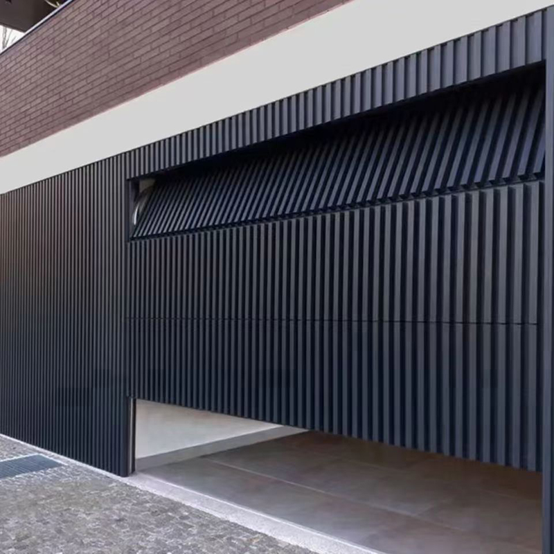 Garage door 10